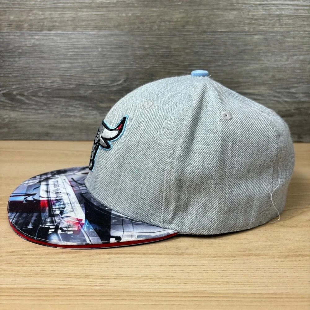 Chicago Bulls Hat Cap Snapback Gray NBA Basketball‎ City Art Promo